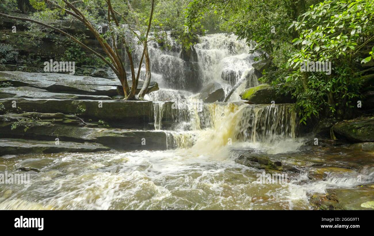 springtime high flow on lower somersby falls Stock Photo