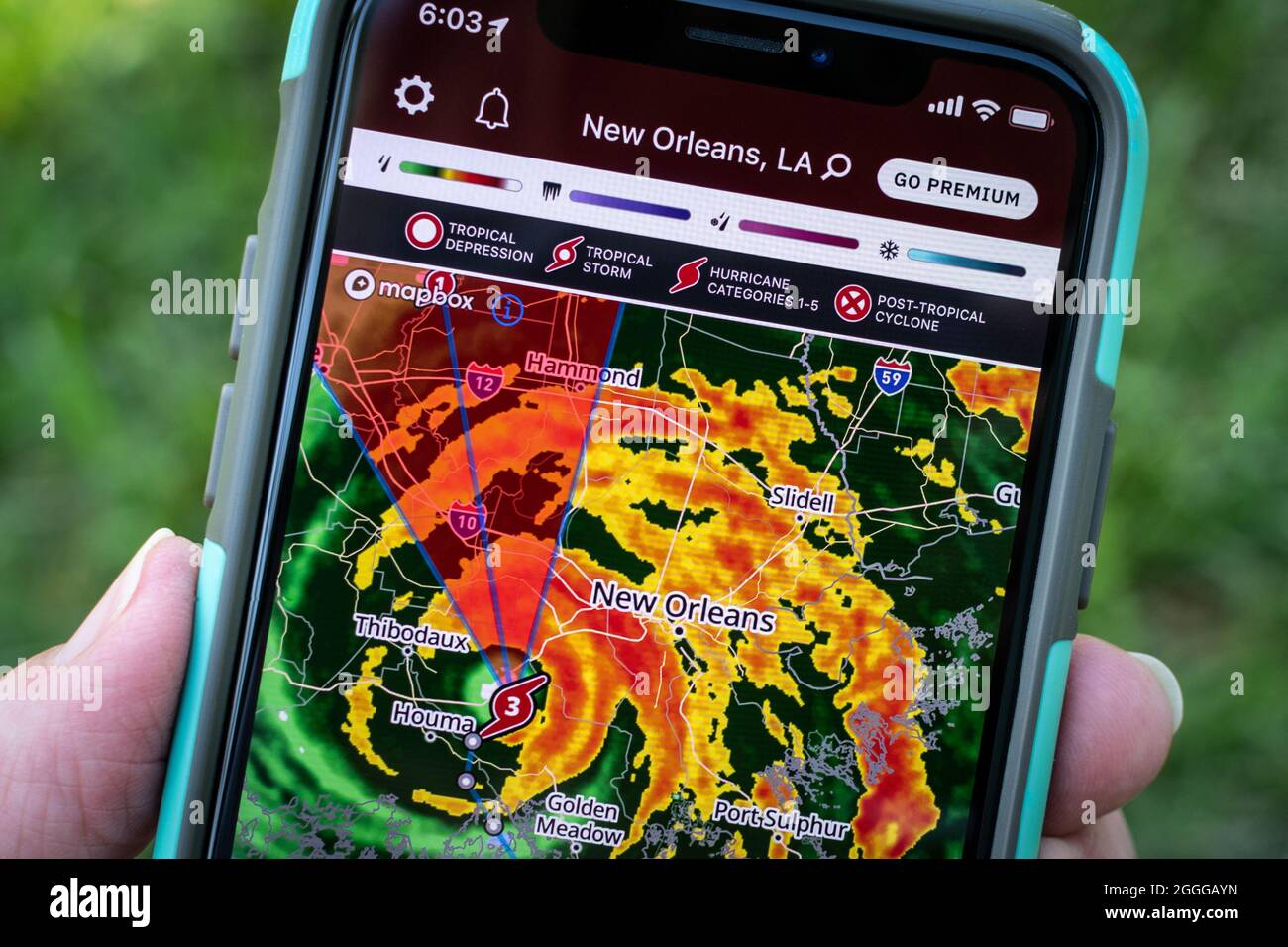New Orleans, Louisiana, USA:  Hurricane Ida radar and local weather forecast shown on handheld mobile cell phone. Stock Photo