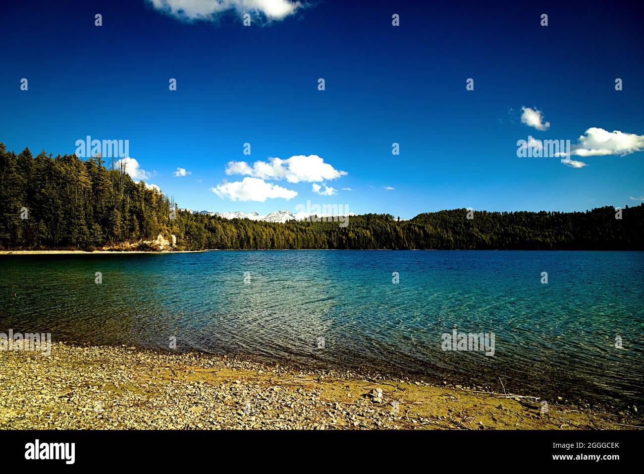 Queen of lake, RARA Stock Photo - Alamy