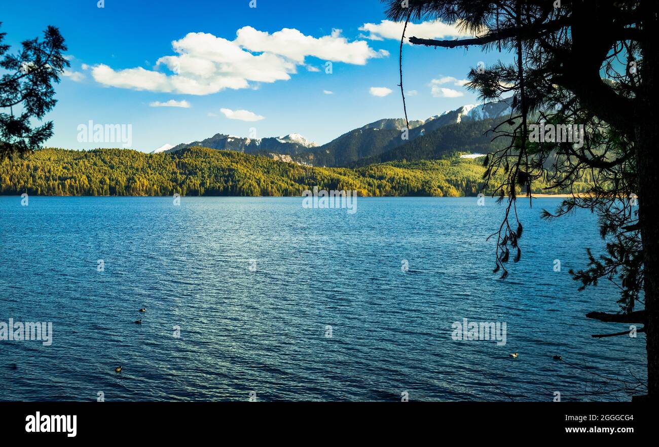 Queen of lake, RARA Stock Photo - Alamy