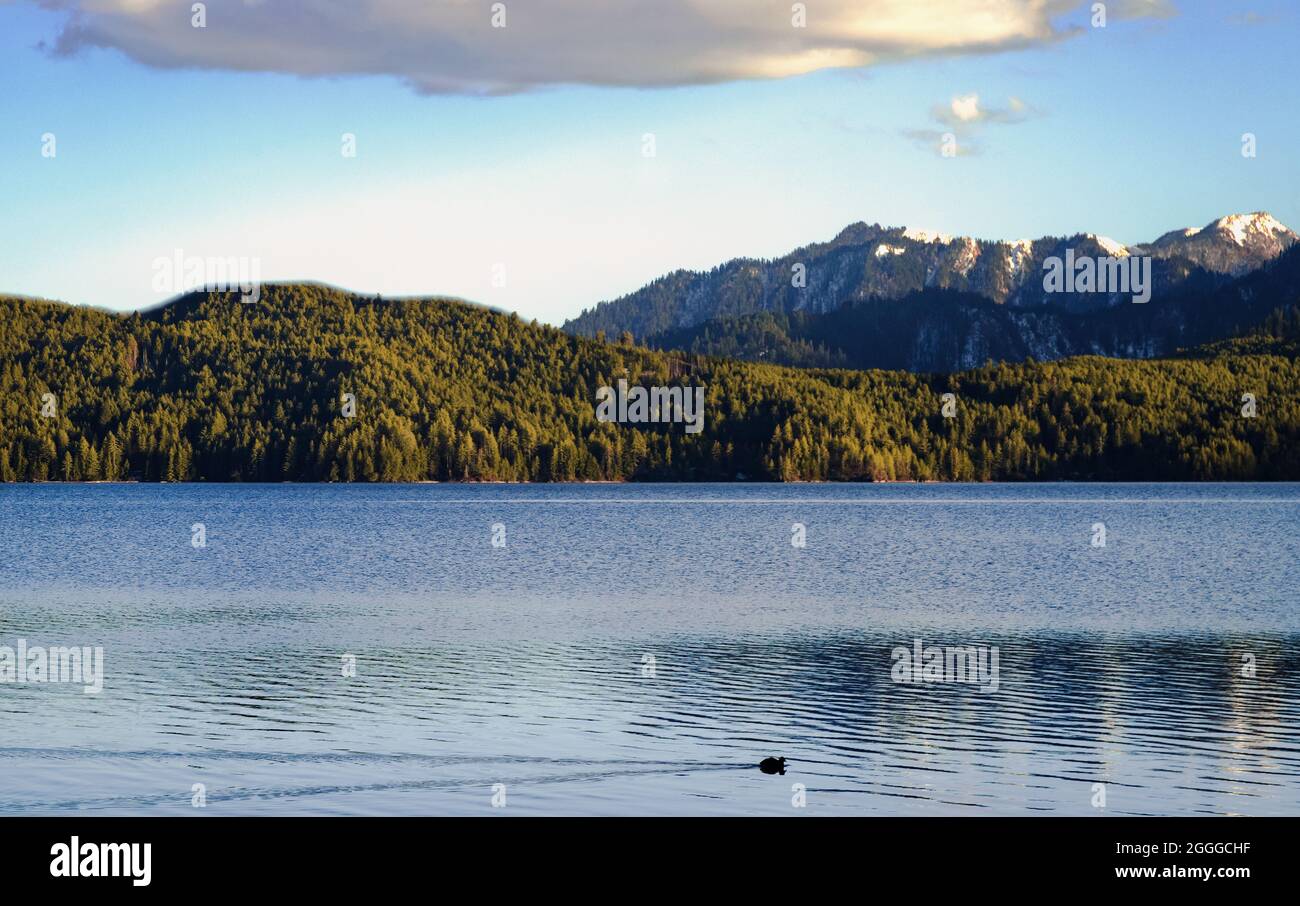 Queen of lake, RARA Stock Photo - Alamy