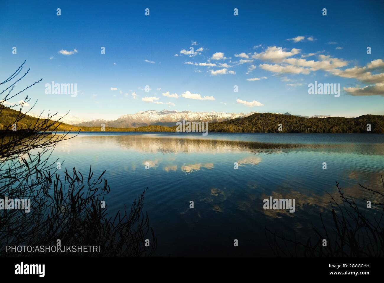 Queen of lake, RARA Stock Photo - Alamy