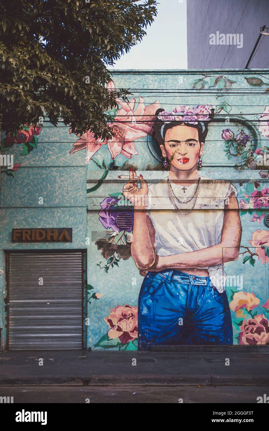 Frida kahlo mural frida kahlo hires stock photography and images Alamy
