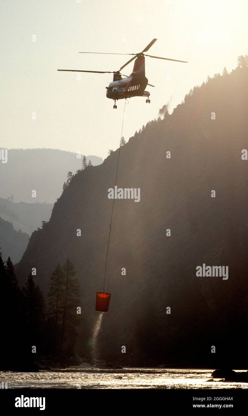 Boeing CH-47 Chinook helicopter filling a water bucket out of the Salmon River used to fight a nearby forest fire near the Gospel-Hump Wilderness, Ida Stock Photo