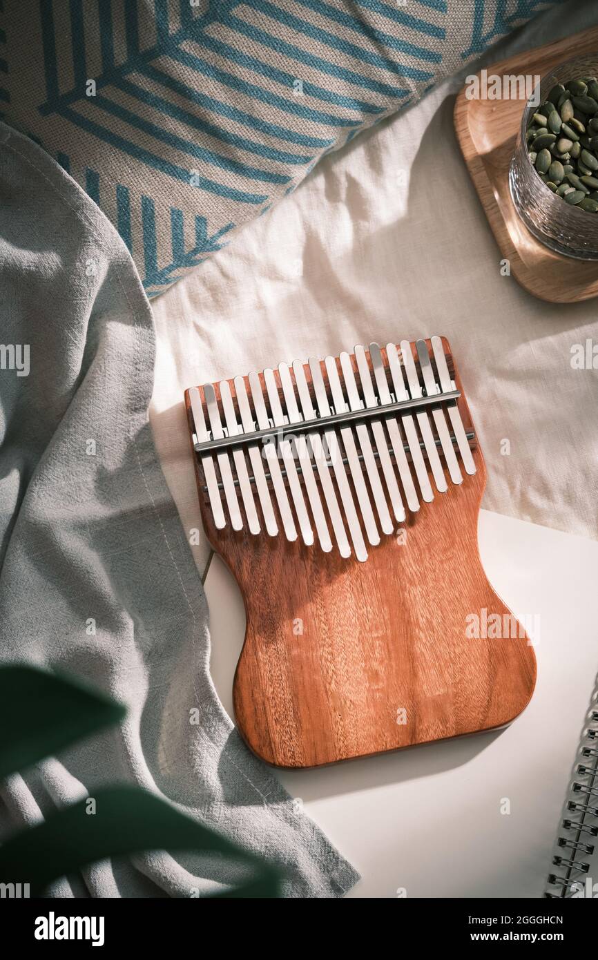 Kalimba or mbira is an African musical instrument. Style concept