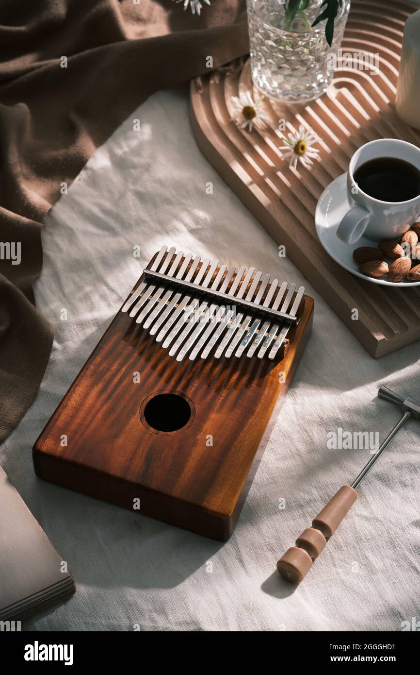 Kalimba or mbira is an African musical instrument. Traditional's