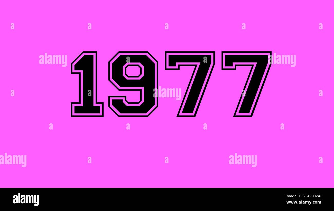 1977 number black lettering pink rose background Stock Photo