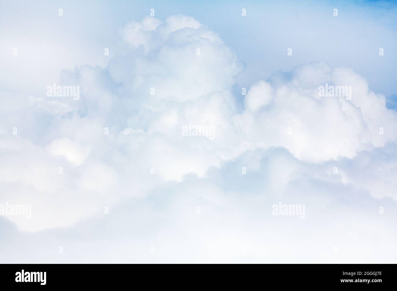 White fluffy cloud texture, big soft light blue cumulus clouds closeup, overcast sky background, beautiful cloudscape skies backdrop, cloudy heaven Stock Photo