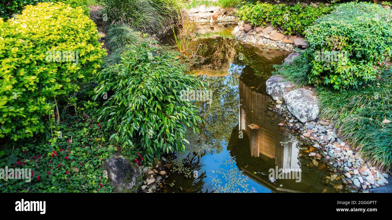 Garden rockery and pond in winter. Montville Queensland Australia Stock Photo