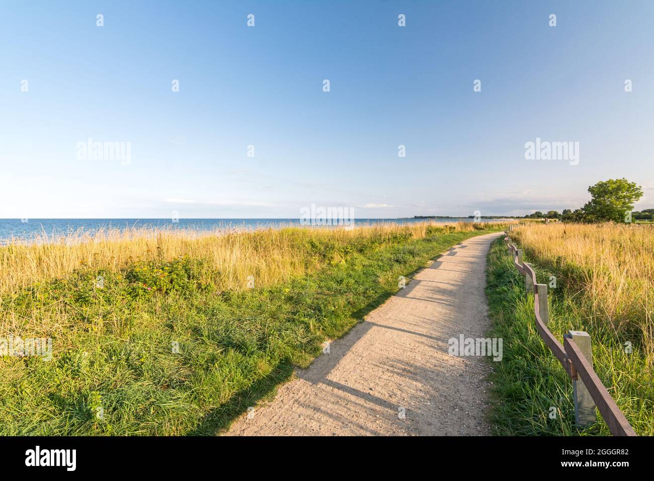Footpath at the shoreline of the Baltic Sea during scenic evening light in Pottloch in Northern Germany Stock Photo