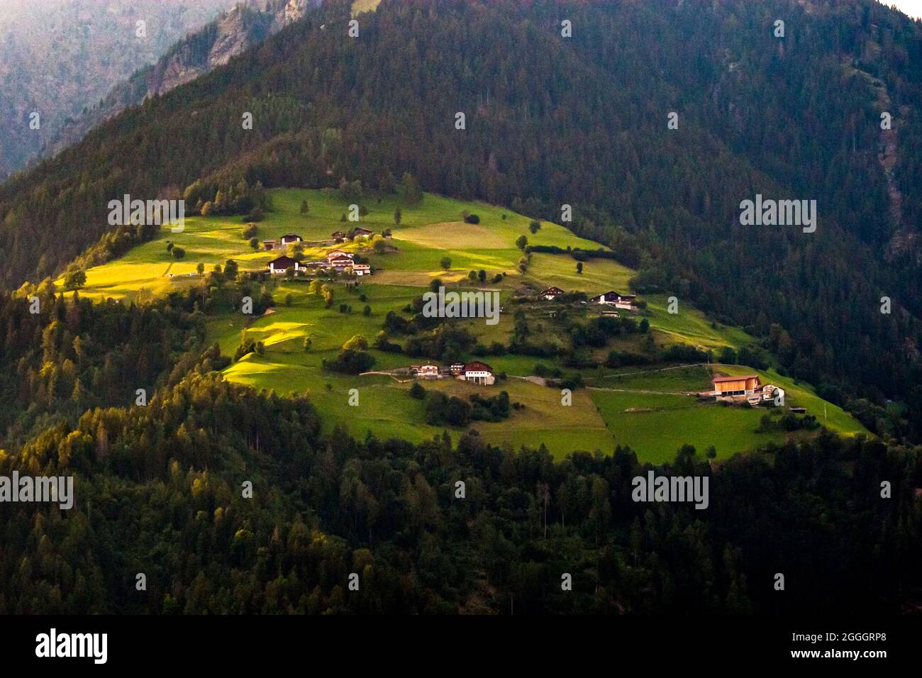 Alpine pasture in South Tyrol, Italy Stock Photo