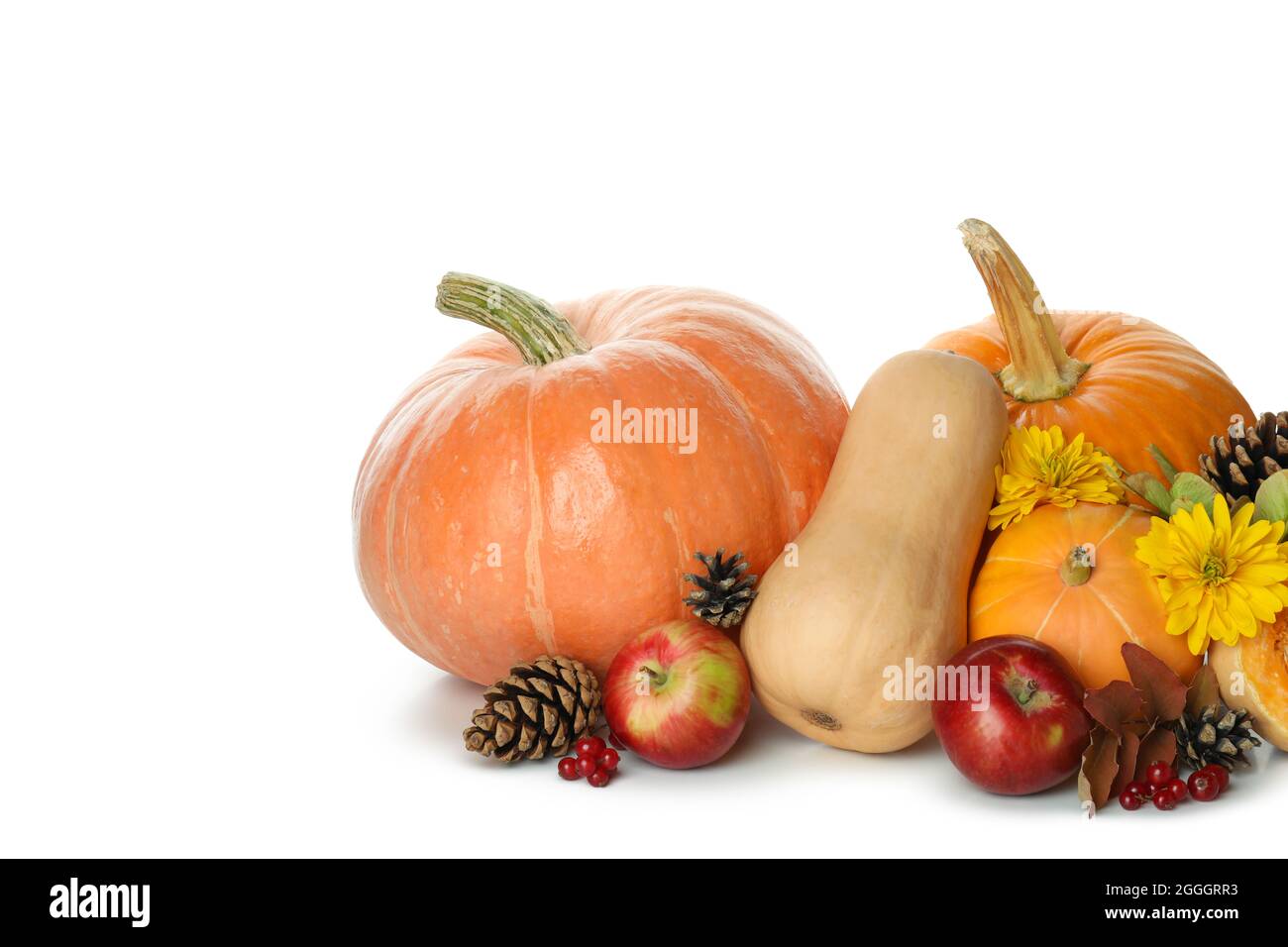 Thanksgiving Day pumpkins isolated on white background Stock Photo - Alamy