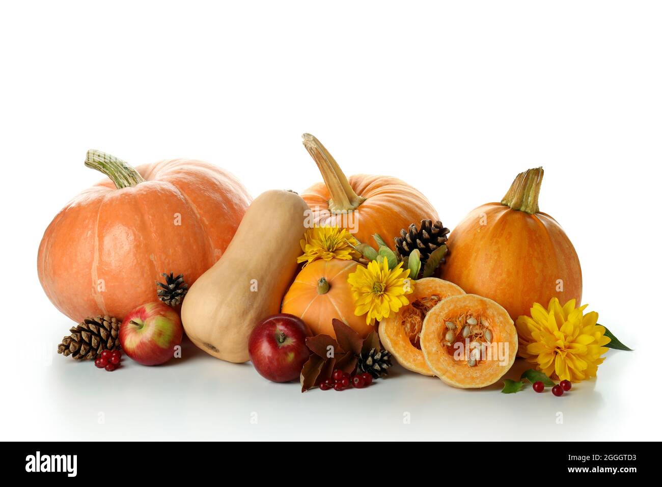 Thanksgiving Day pumpkins isolated on white background Stock Photo - Alamy