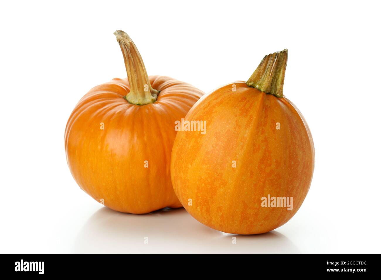 Thanksgiving Day pumpkins isolated on white background Stock Photo - Alamy
