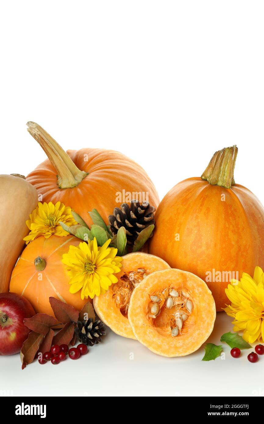 Thanksgiving Day pumpkins isolated on white background Stock Photo - Alamy