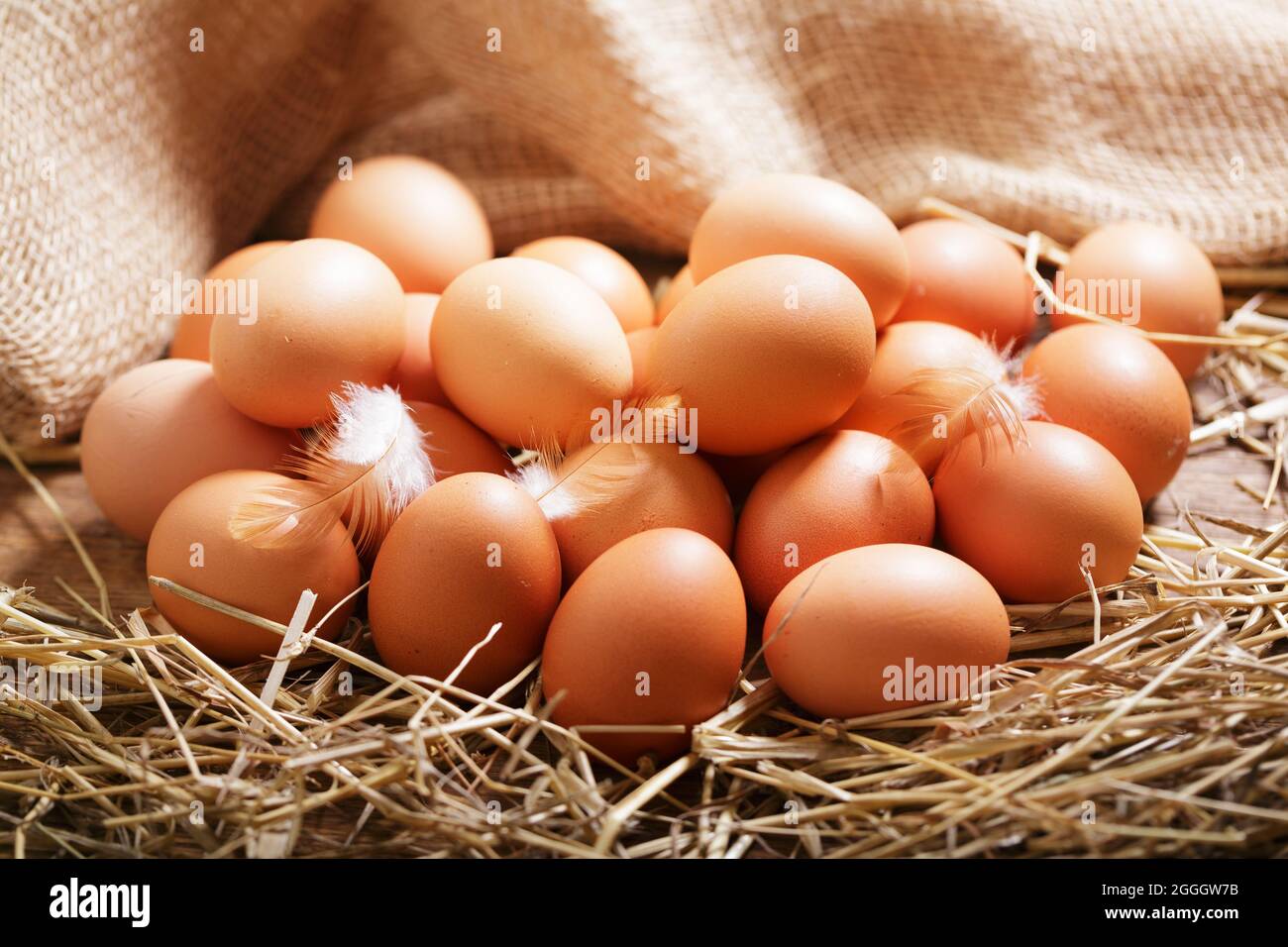 chicken eggs in hay nest Stock Photo - Alamy