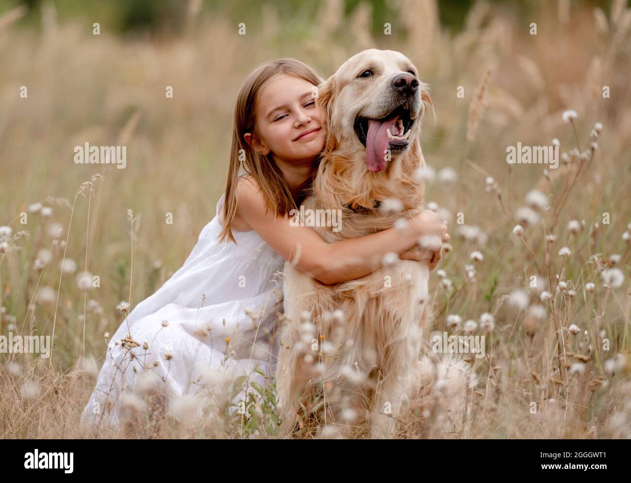Girl with golden retriever dog Stock Photo - Alamy