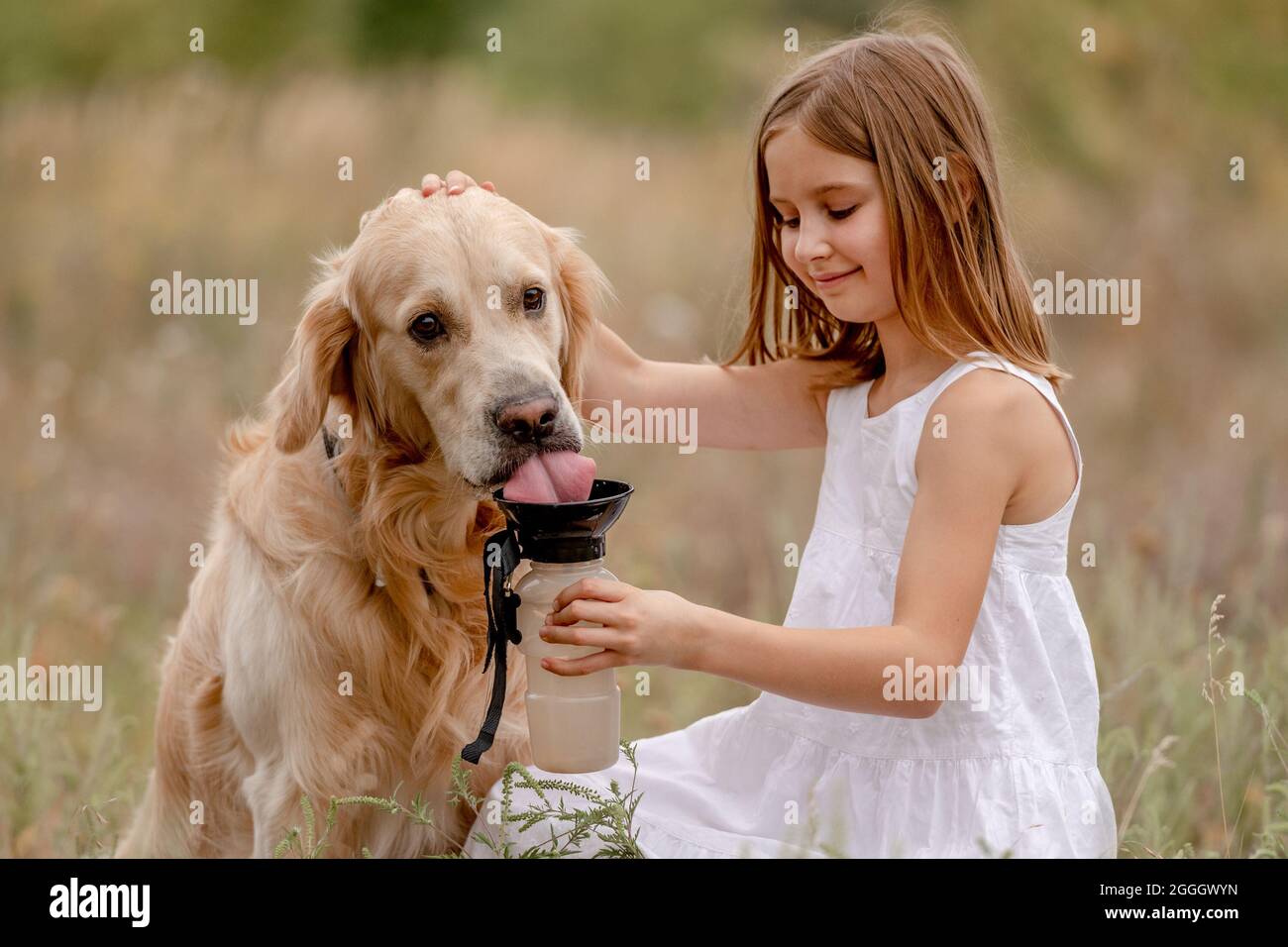 Girl with golden retriever dog Stock Photo - Alamy