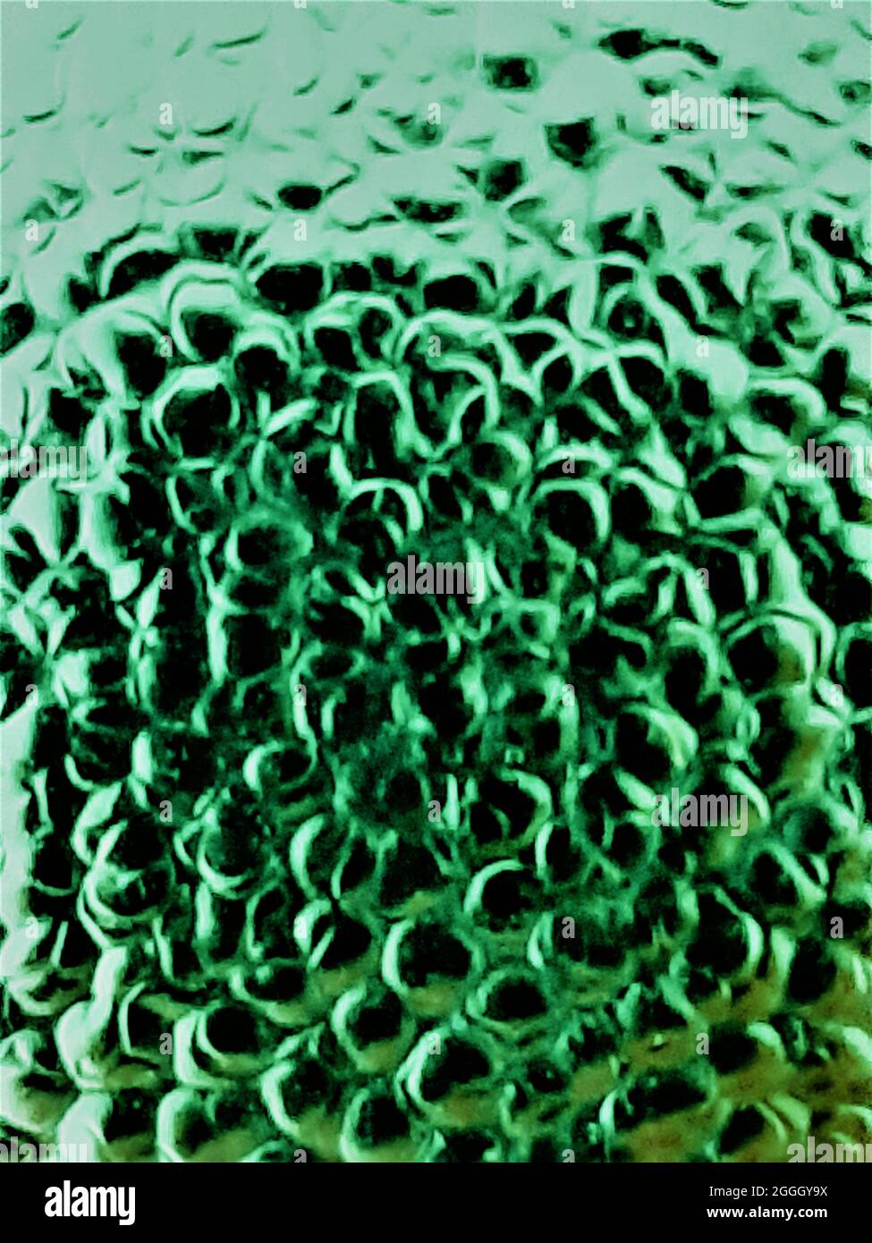 Hindergrund Bild Nahaufnahme Oberfläche Metall grüne Blasen Stock Photo