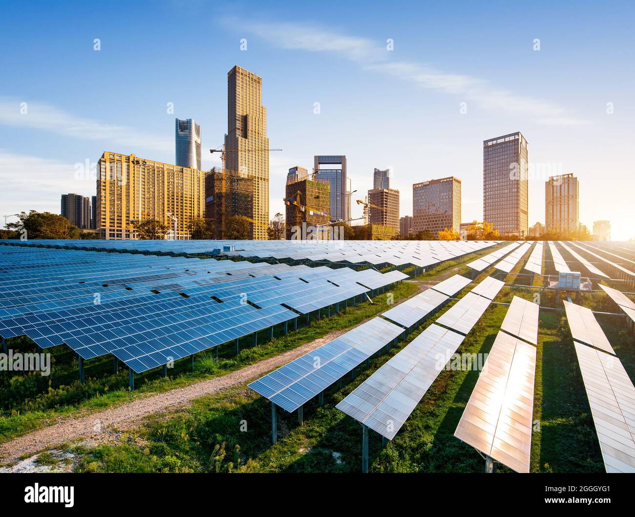 Ecoenvironmentally friendly green energy of sustainable development of