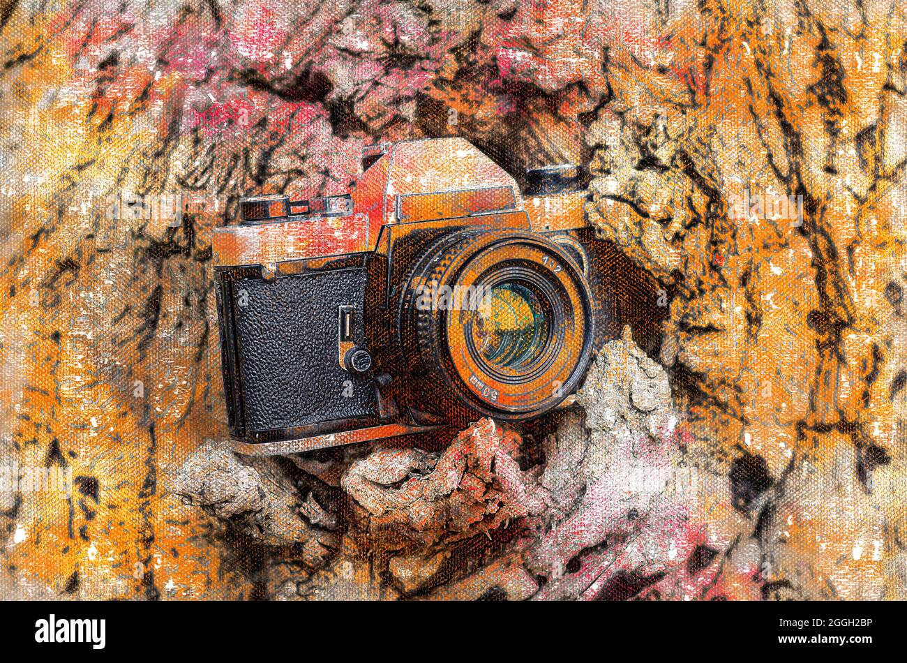 Bark camera sales