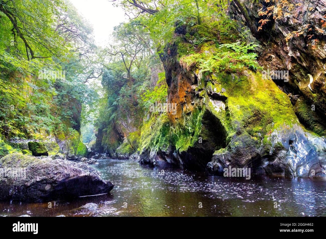Fairy Glen on the Conwy River, BetwsyCoed, Snowdonia National