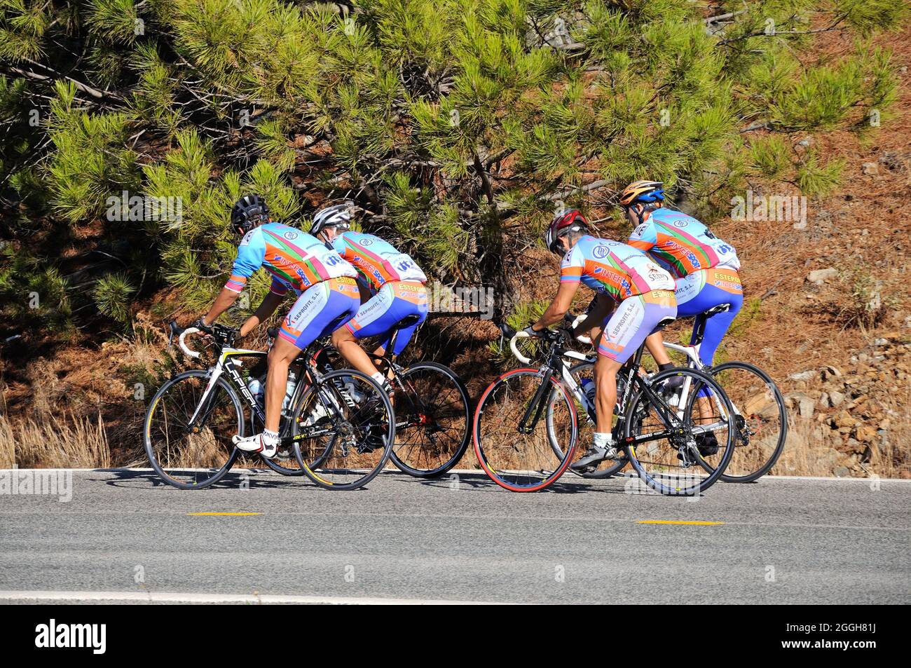 Four cyclists on a mountain road, Puerto de Alijar, Malaga Province, Andalucia, Spain, Europe. Stock Photo