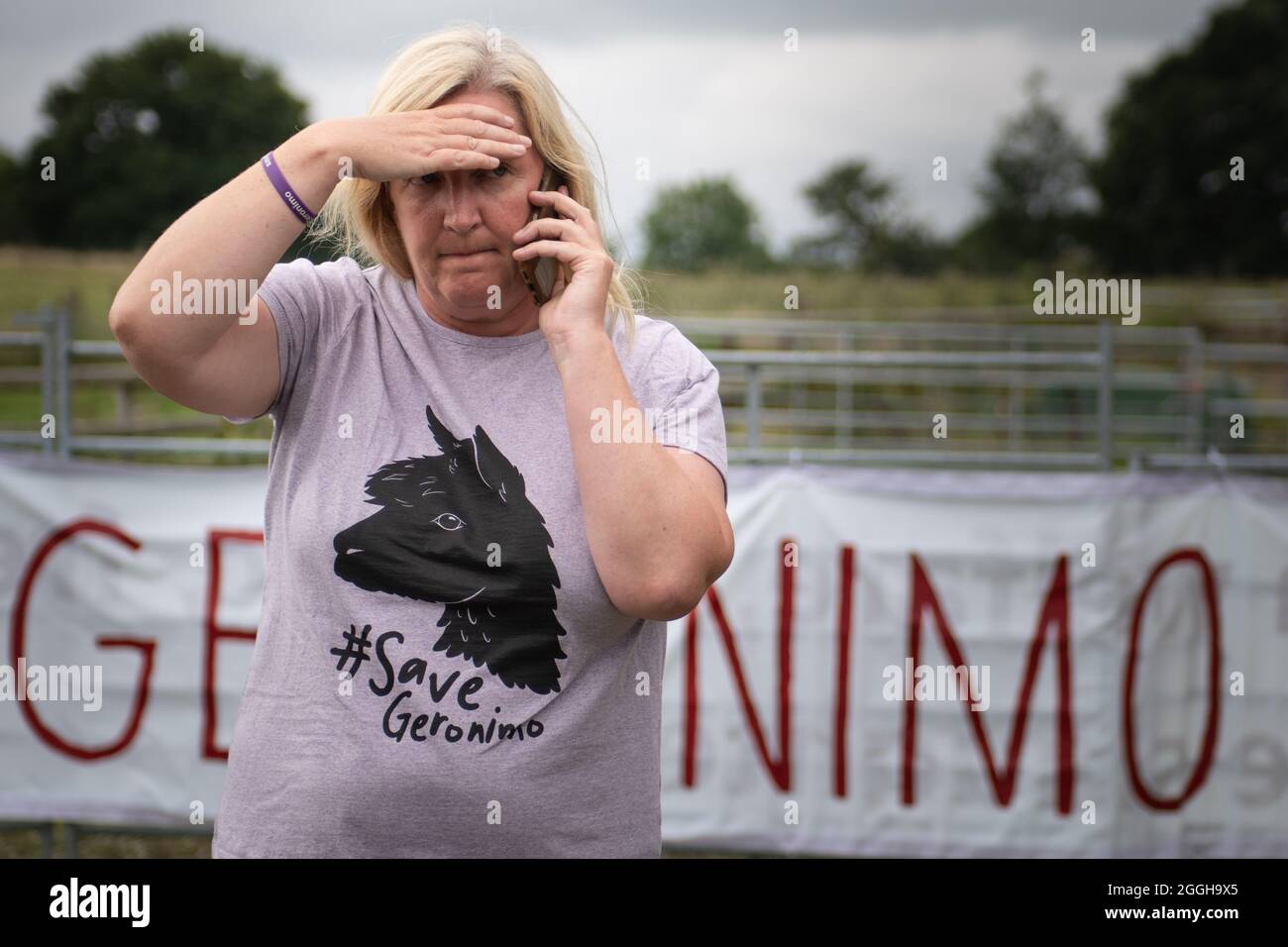 Shepherds Close Farm, Wotton-under-Edge, Gloucestershire, UK. 31st August, 2021. Geronimo's owner Helen Macdonald gives an emotional statement to the Stock Photo