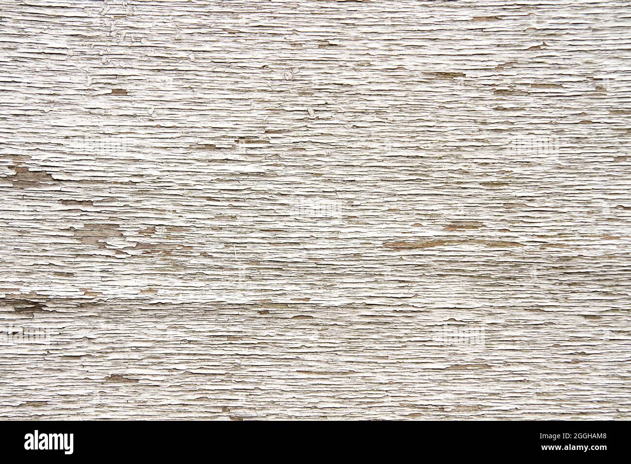 Old weathered rustic wooden surface with white peeling paint Stock ...