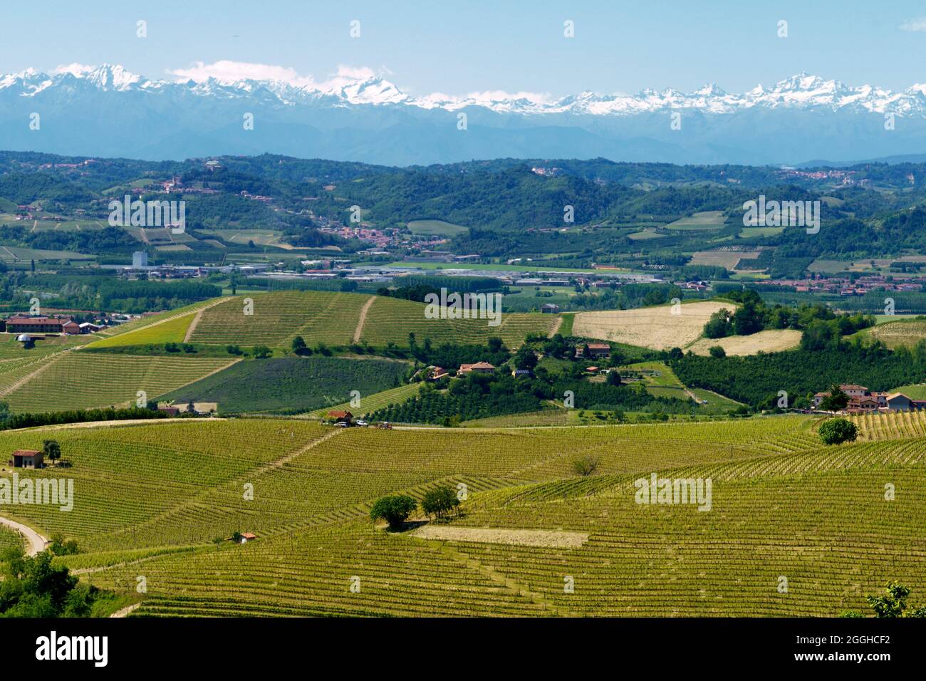alba province of cuneo italy