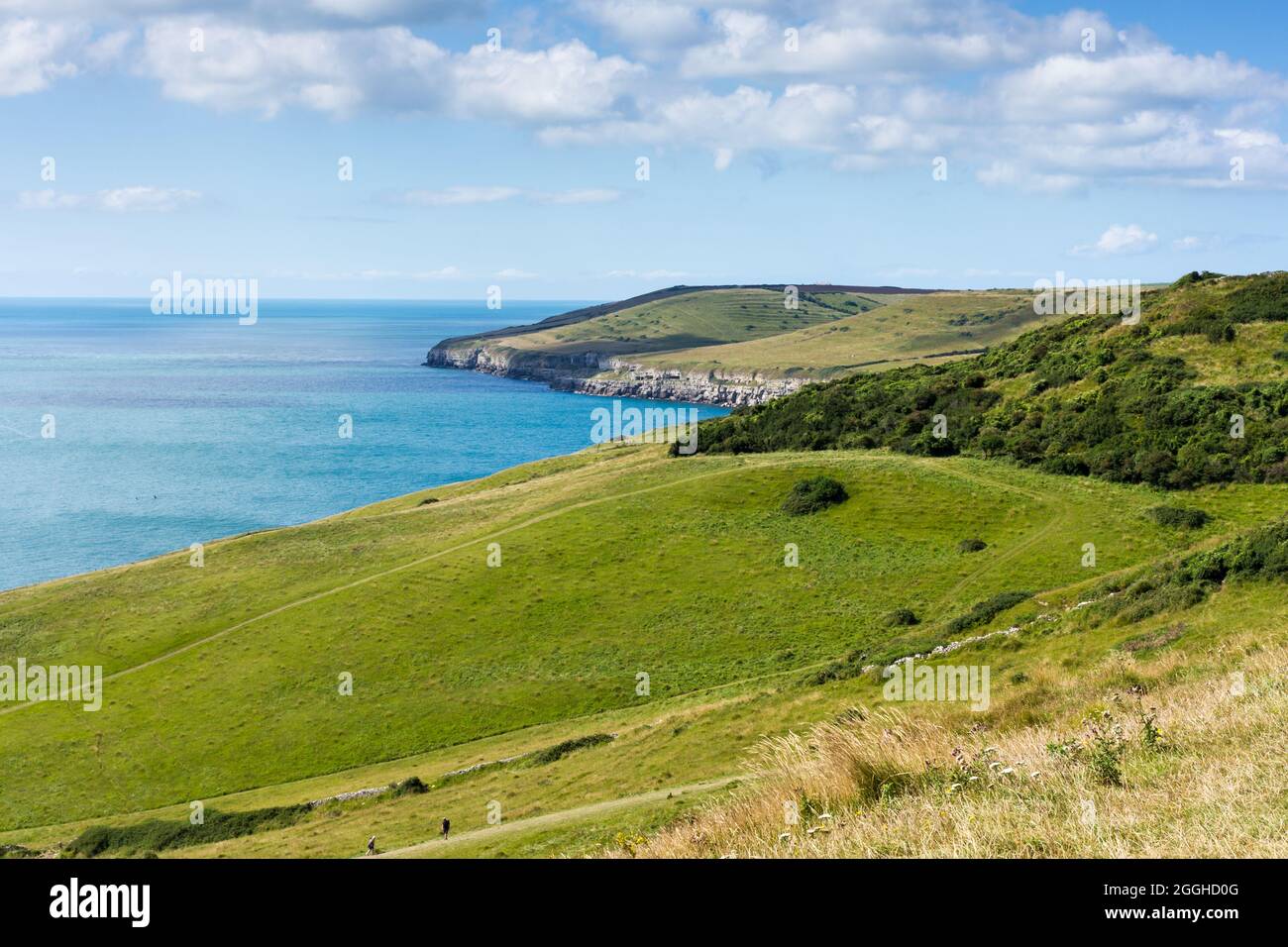 Spyway, Dorset on the Jurassic Coast Stock Photo