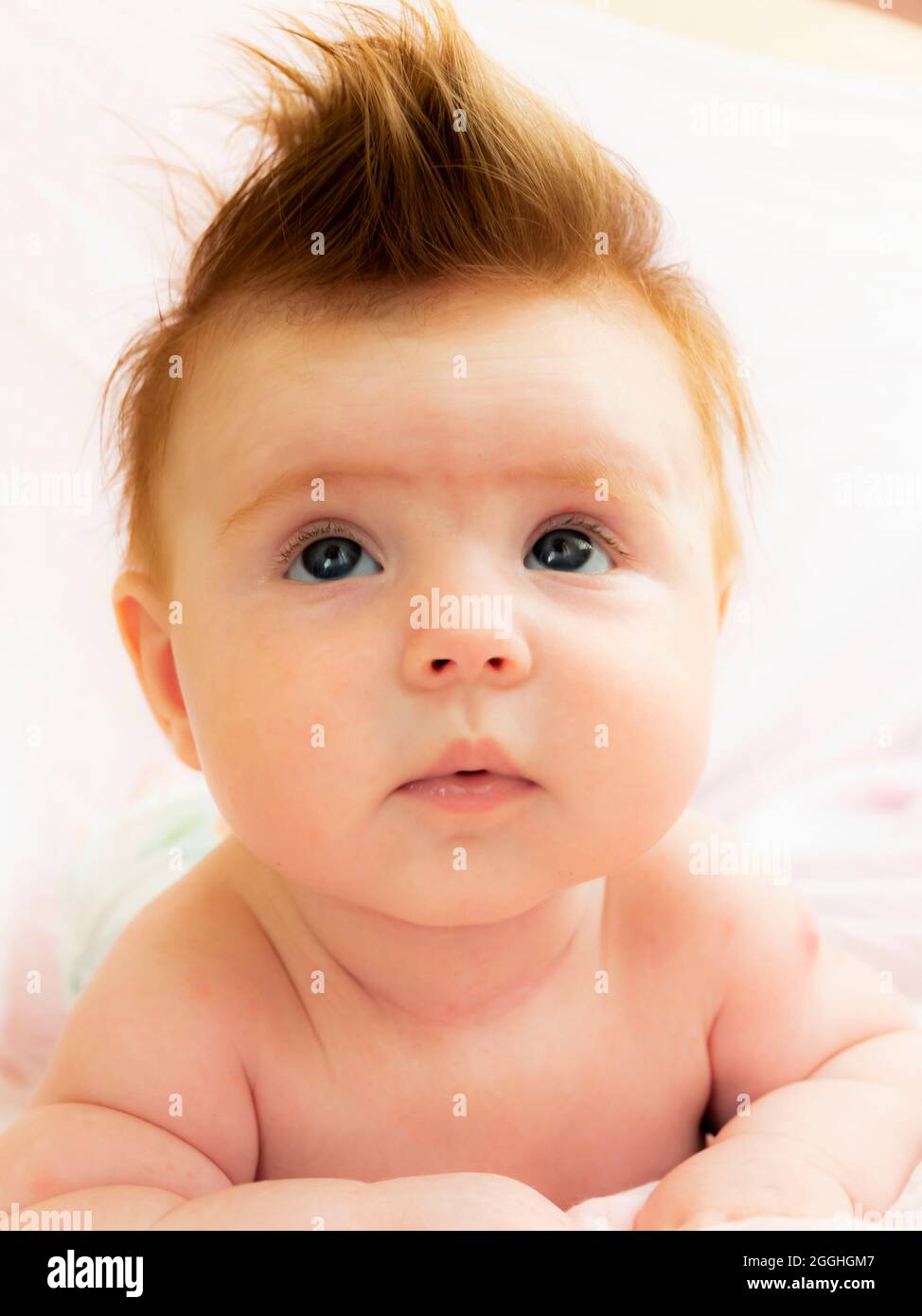 close-up portrait of five months old baby, lies on his stomach, head and eyes are raised up Stock Photo