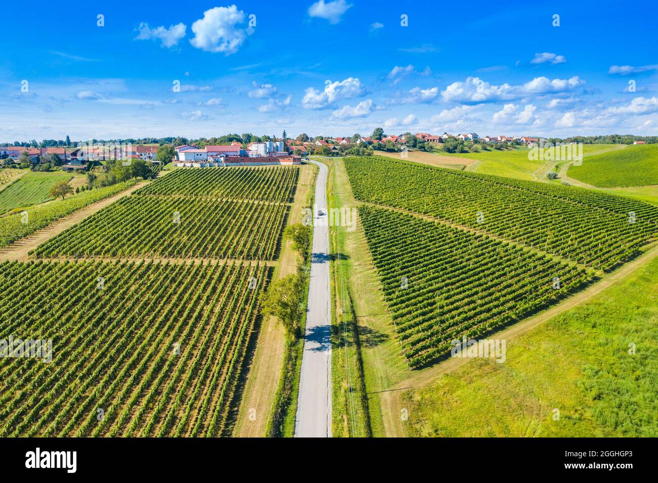 Green countryside landscape, hills and vineyards in Daruvar, Croatia Stock Photo