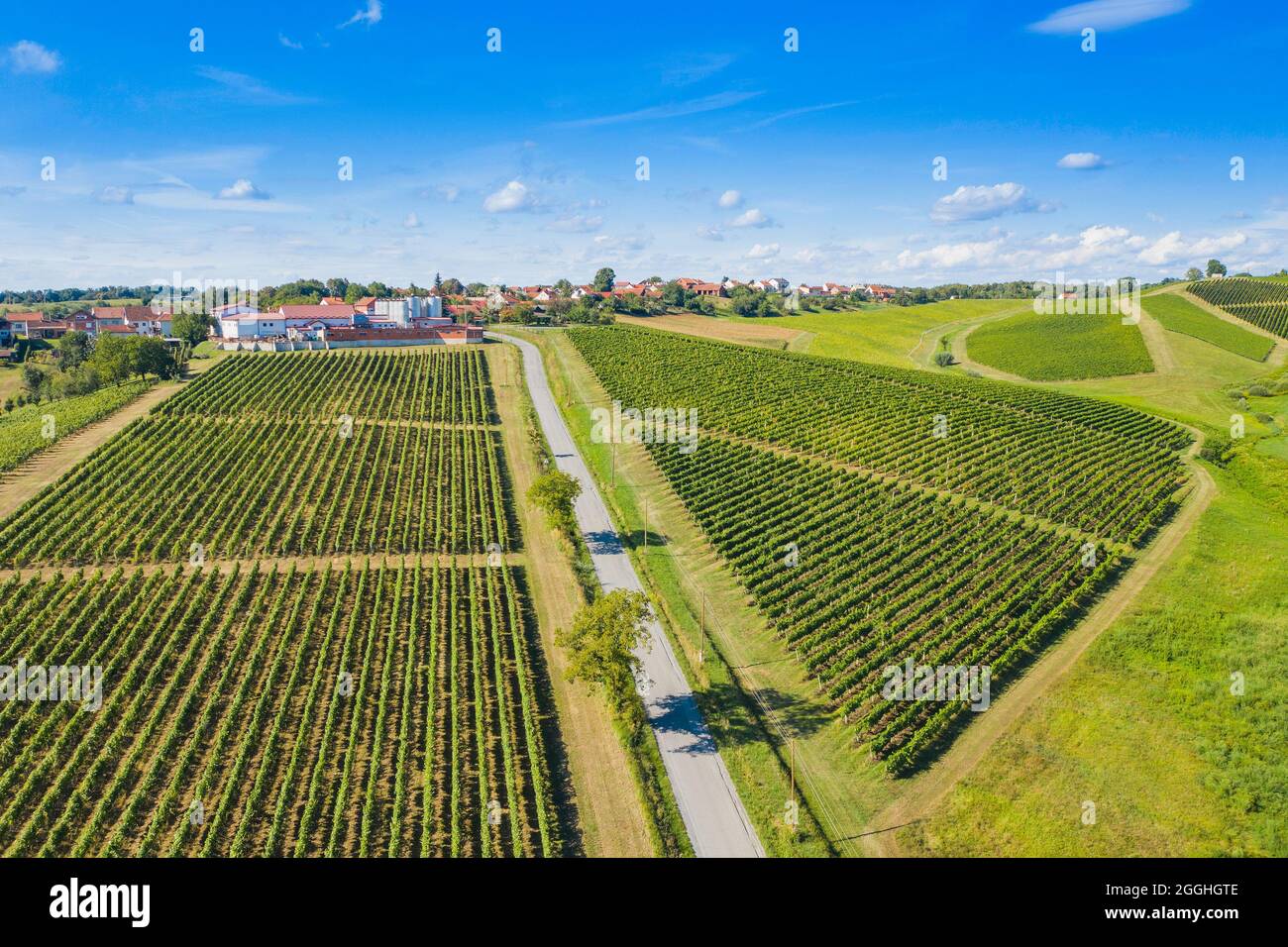 Green countryside landscape, hills and vineyards in Daruvar, Croatia Stock Photo