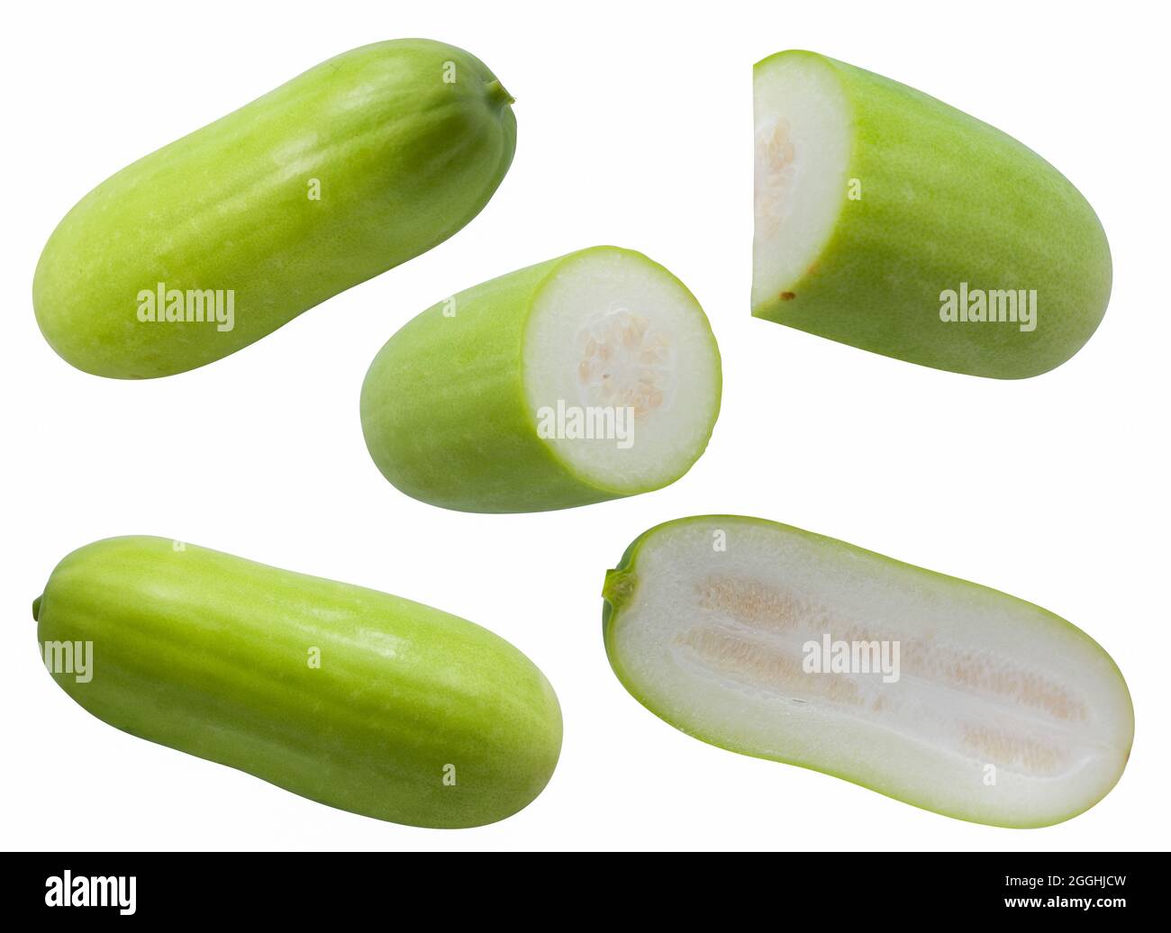 Wax Gourd isolated on white background Stock Photo Alamy