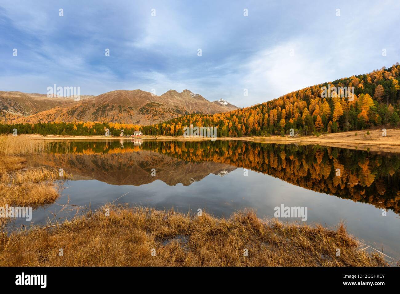 Herbst im Engadin in der Schweiz am Stazersee Stock Photo