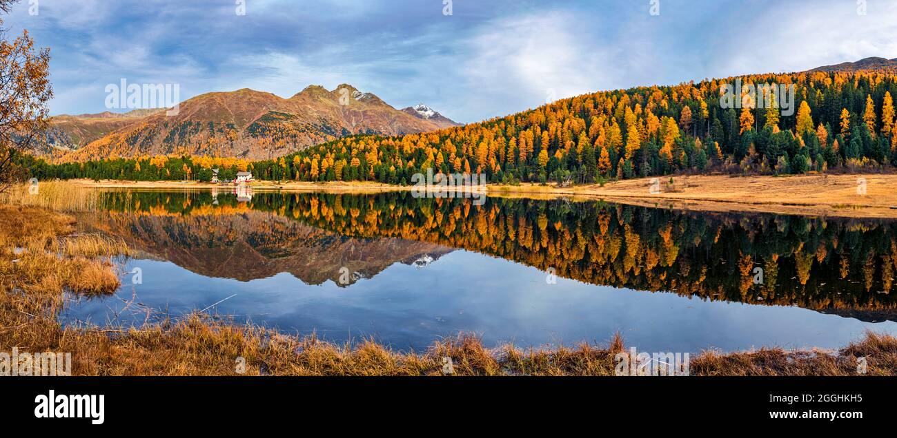 Herbst im Engadin in der Schweiz am Stazersee Stock Photo