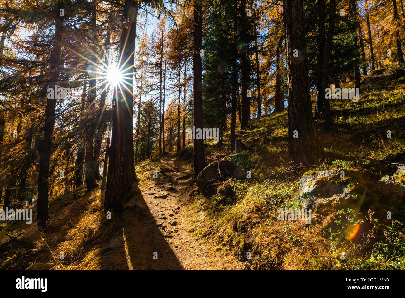 Wanderung im Herbst am Silser Höhenweg in der Schweiz im Engadin Stock Photo