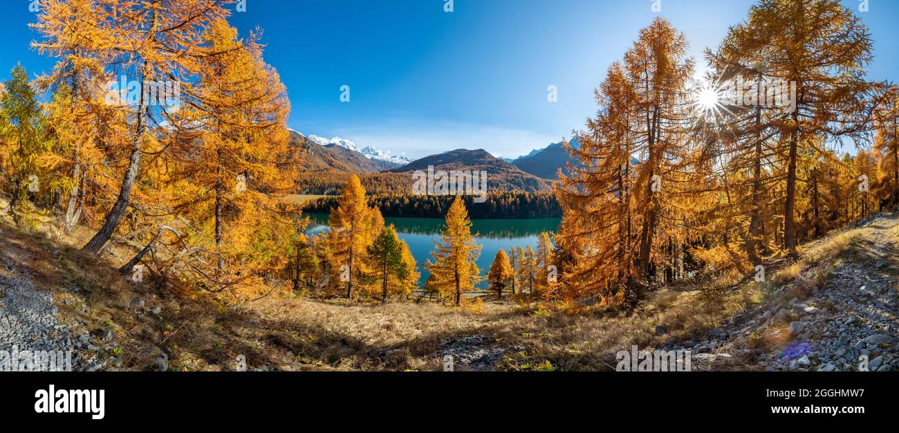 Wanderung im Herbst am Silser Höhenweg in der Schweiz im Engadin Stock Photo