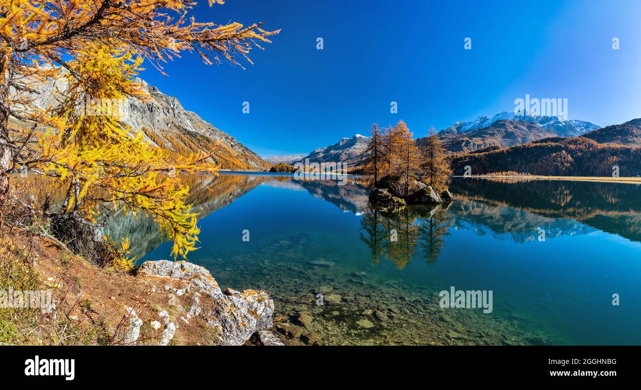 eine kleine Insel mit Bäumen darauf im Silsersee in der Schweit bei Sonnenschein und wolkenlosen Himmel Stock Photo