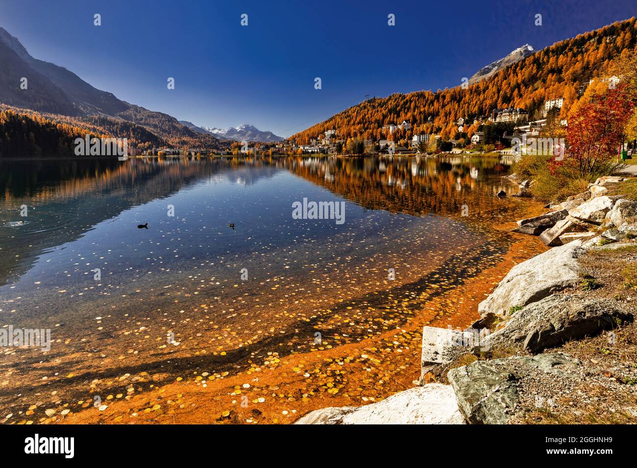 Blick auf den St. Moritzsee in der Schweiz im Engadin im Herbst Stock Photo