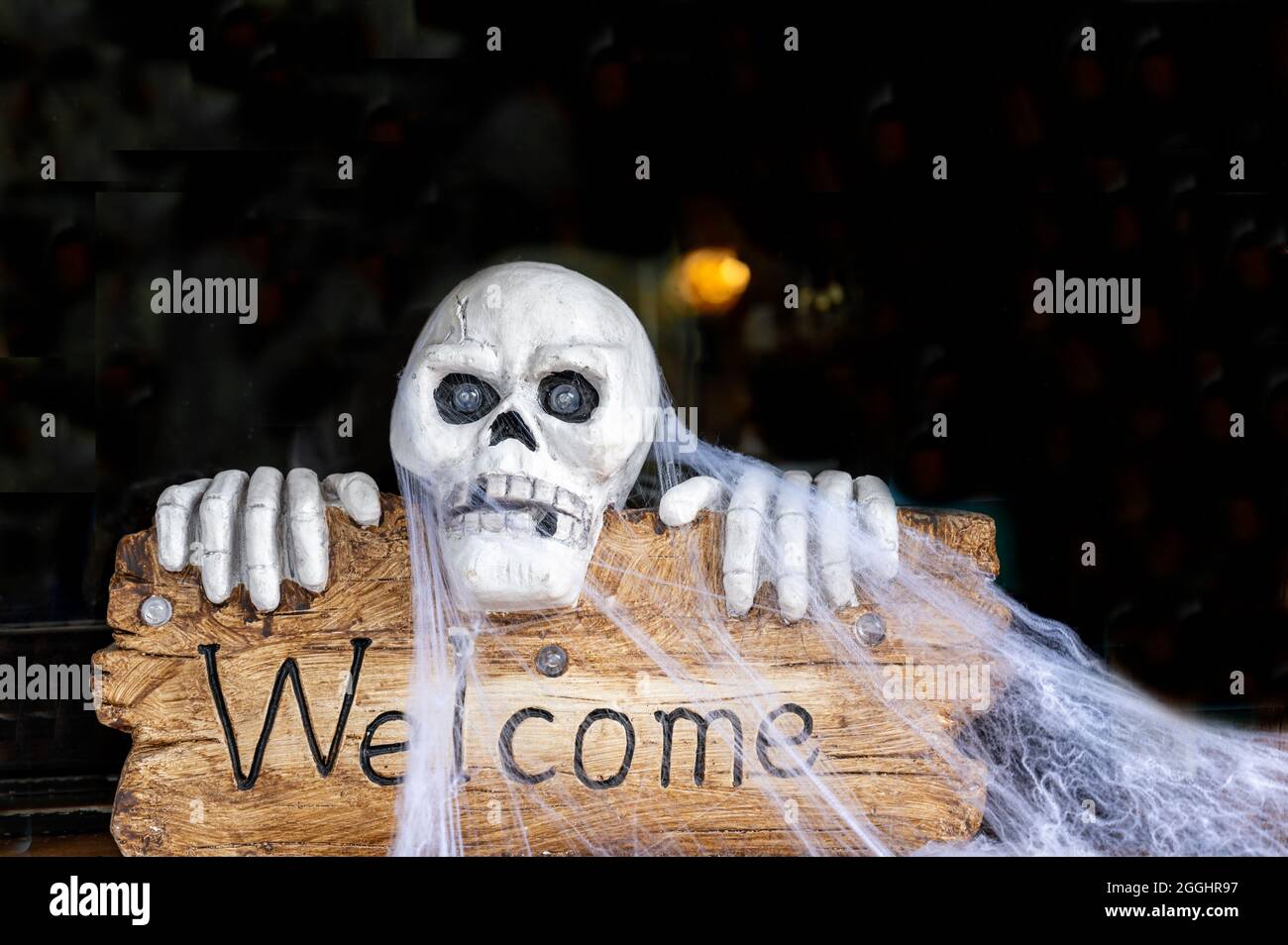 Wood sign with word 'Welcome'. Skull with spider web. Halloween event. Holidays. Stock Photo