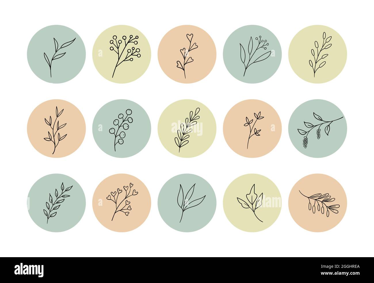 Highlight story cover icons for social media, instagram. Vector round  backgrounds with hand drawn plants Stock Vector Image & Art - Alamy