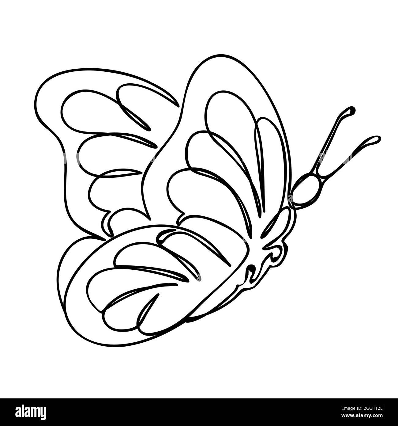 Butterfly stencil, vector illustration Stock Vector Image & Art - Alamy