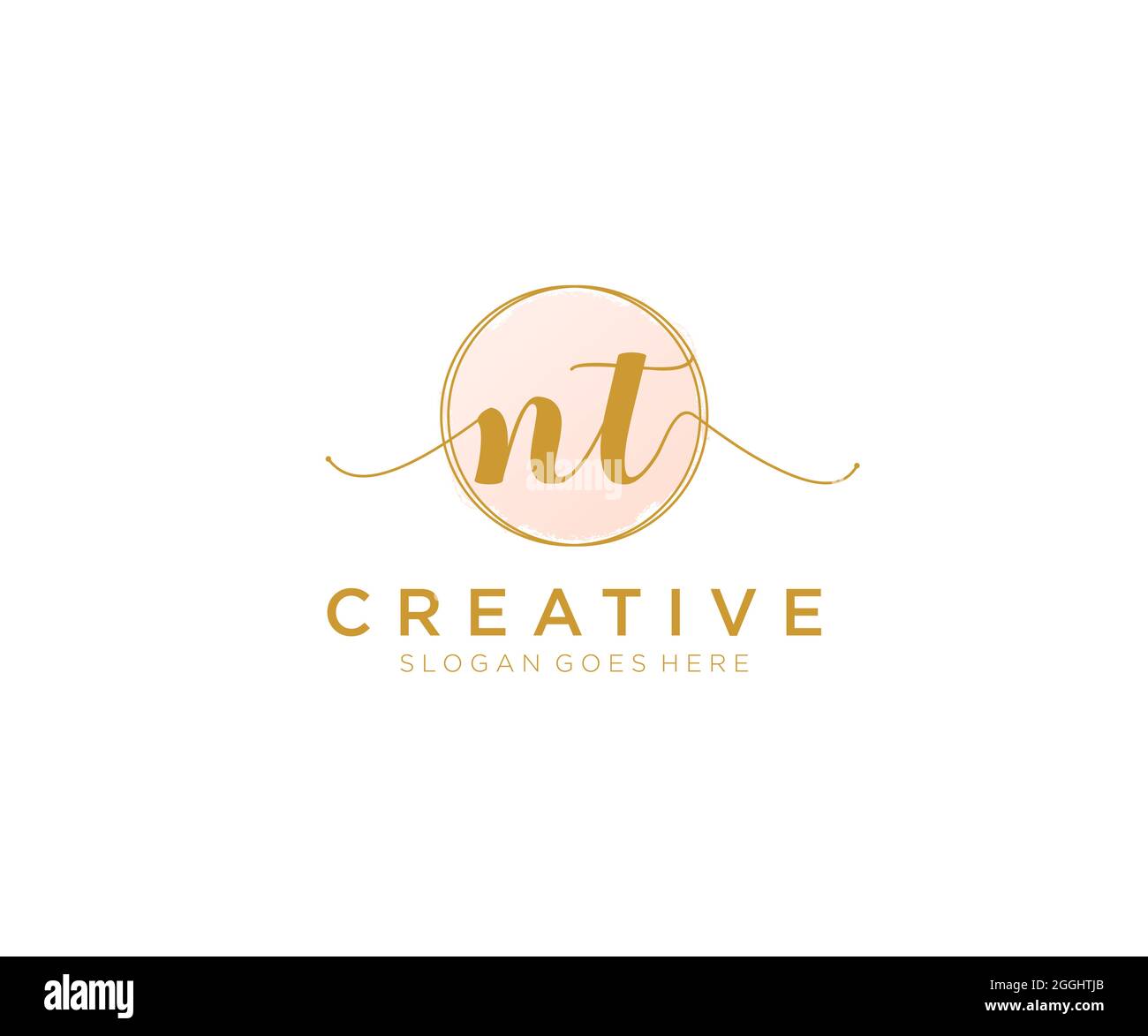 NT Feminine logo beauty monogram and elegant logo design, handwriting ...