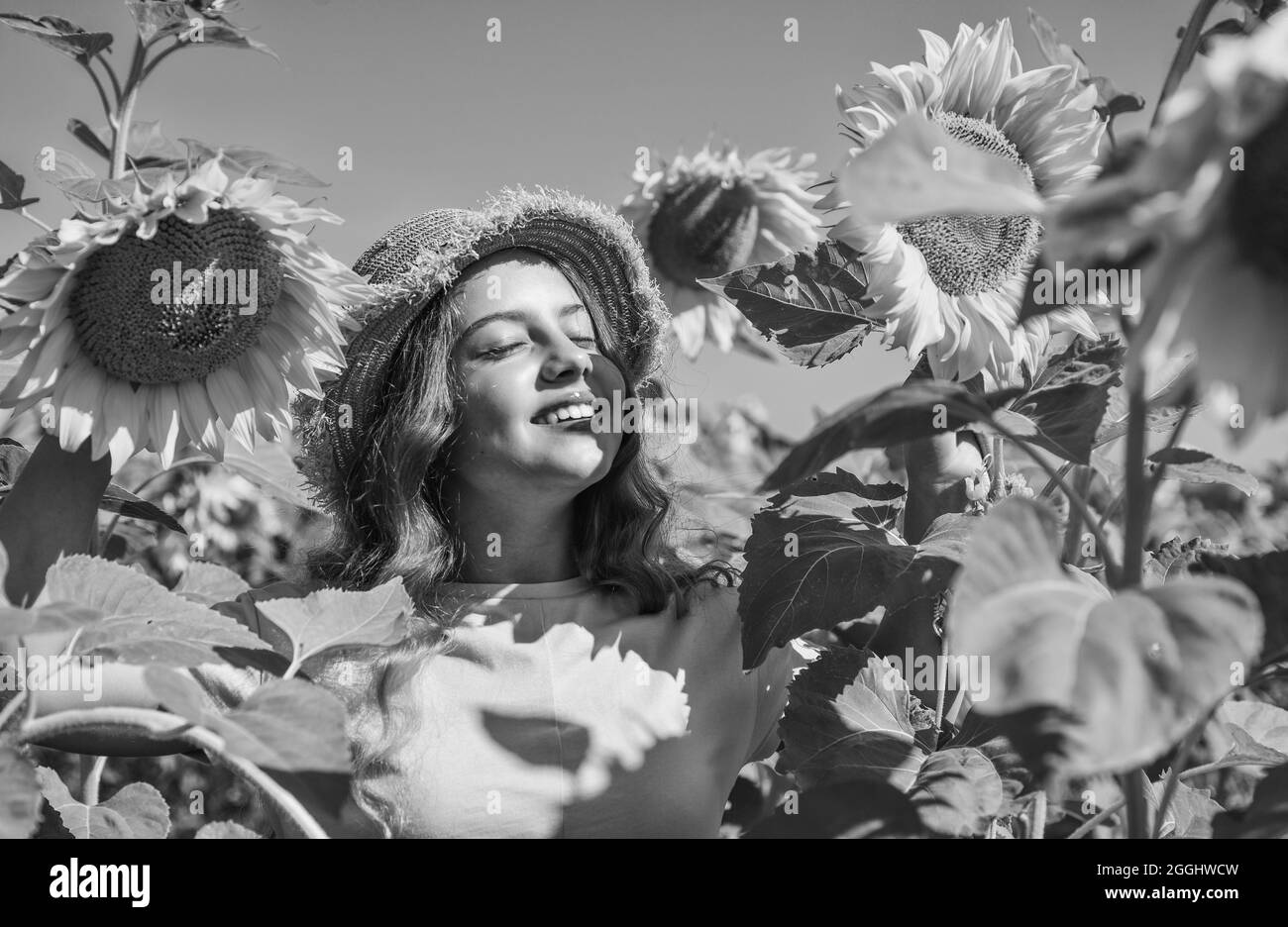 teen girl in sunflower field. concept of summer vacation. rich harvest ...