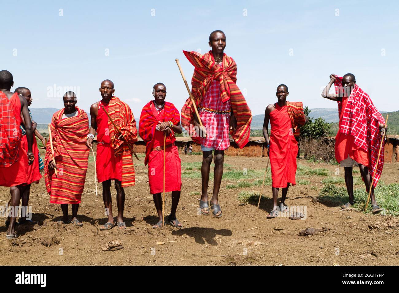 Maasai warriors performing traditional jumping dance in the Maasai Mara National Reserve. Stock Photo