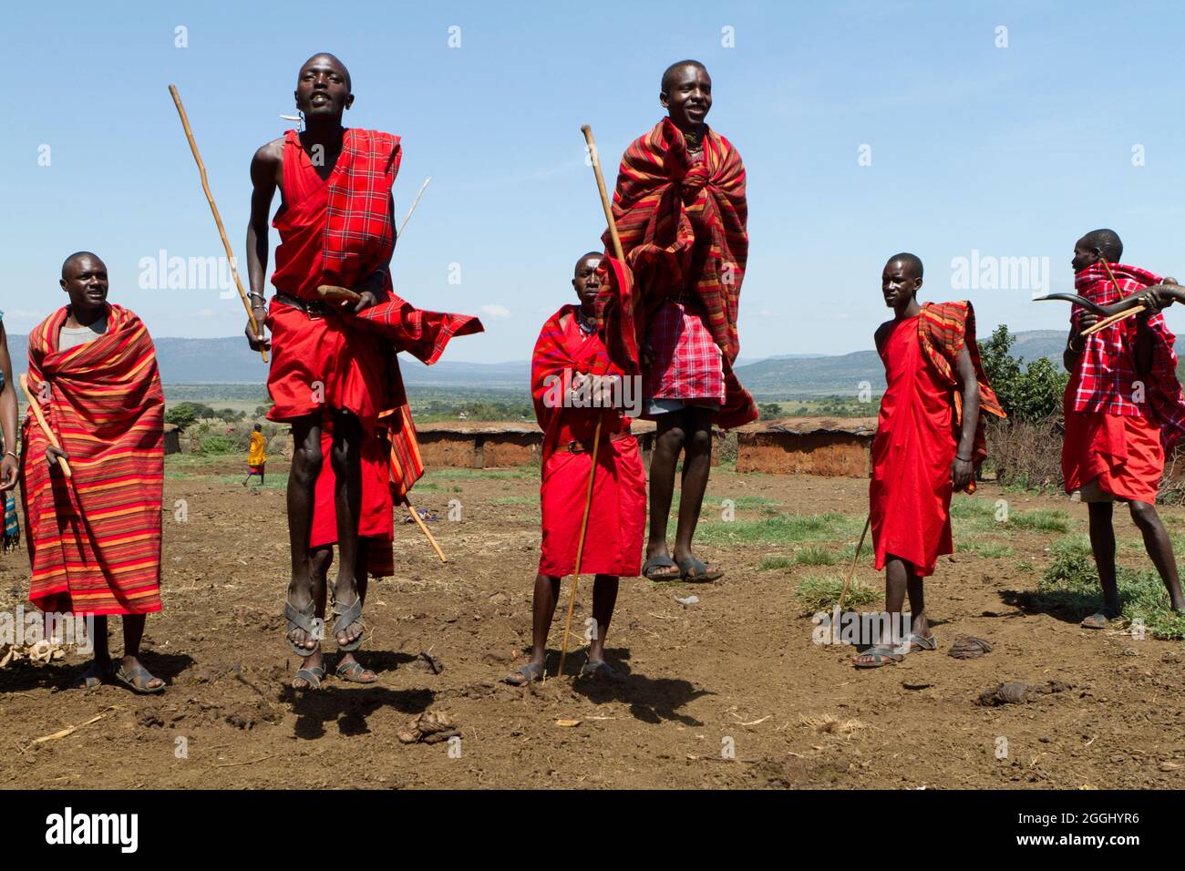 Maasai warriors performing traditional jumping dance in the Maasai Mara National Reserve. Stock Photo