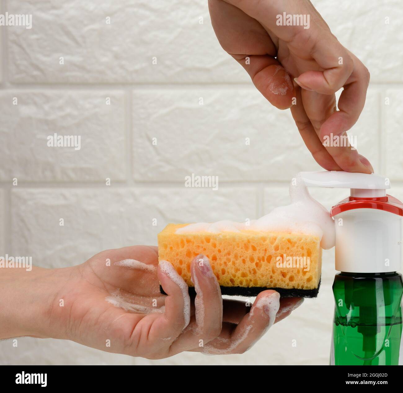 https://c8.alamy.com/comp/2GGJ02D/female-hand-holds-kitchen-sponge-with-white-foam-near-plastic-dispenser-other-hand-squeezes-out-liquid-2GGJ02D.jpg