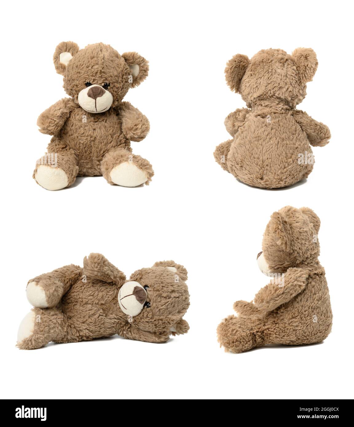 cute brown teddy bear against white isolated background in different ...